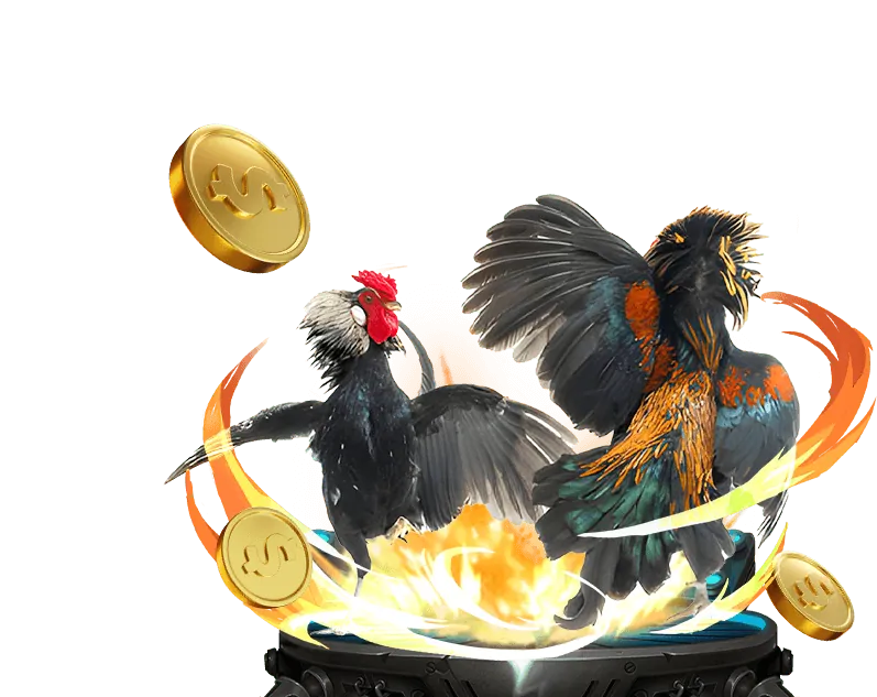 Công nghệ mã hóa SSL tại 666win chính thức